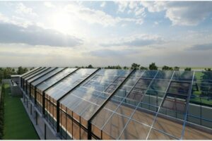 Galeri (8) Galeri (8)