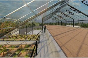 Galeri (9) Galeri (9)